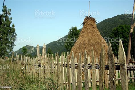 Agriculture And Farming In Romania Stock Photo Download Image Now