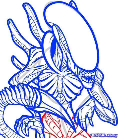 How To Draw Alien Vs Predator Step By Step How To Draw Predator Step By