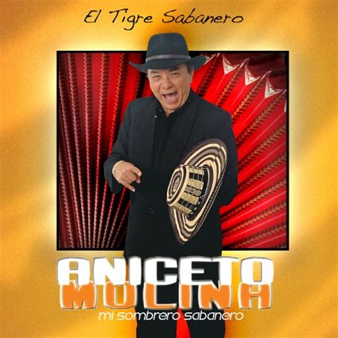 Mi Sombrero Sabanero Version De Radio By Aniceto Molina On Amazon