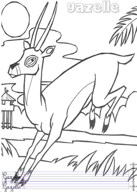 coloriage gazelle 1 .:. Coloriages Animaux de la jungle en allemand