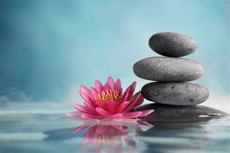 Zen Lotus Wallpapers Top Free Zen Lotus Backgrounds Wallpaperaccess