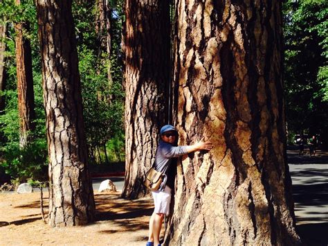 Lower Pines At Yosemite National Park 70 Photos And 21 Reviews