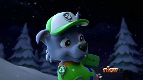 Paw Patrol Campus Life Note From Love Rocky15 Wattpad