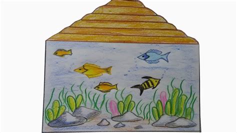 Children drawing the aquarium a brush stock vector colourbox. How to Draw Aquarium | Learn How To Draw A Fish Tank - YouTube