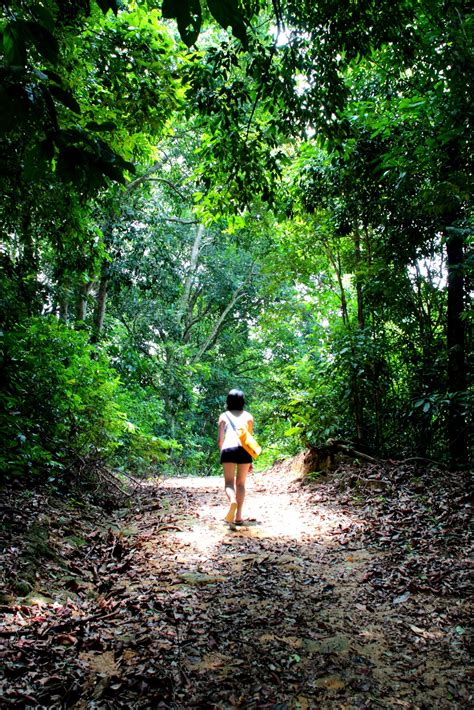 Featuring deramakot forest reserve, maliau basin, imbak canyon, danum valley we have done a few different treks in the past and con was by far the most knowledgeable guide we've had. Jungle Trekking (Part 2), Teluk Dalam