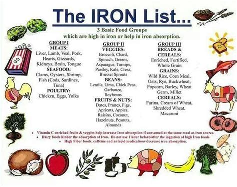 Pin on Iron enriched foods - Health Foods