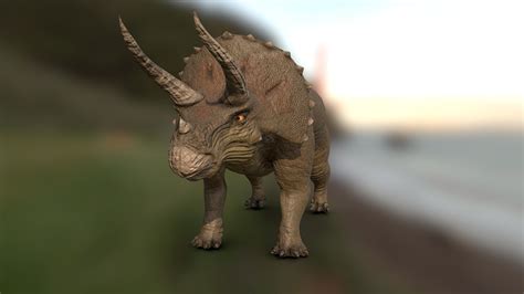 Triceratops Horridus 3d Model By Jonatanb 6e84b91 Sketchfab