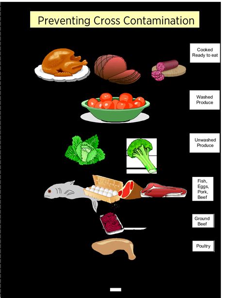 Food Cross Contamination Chart