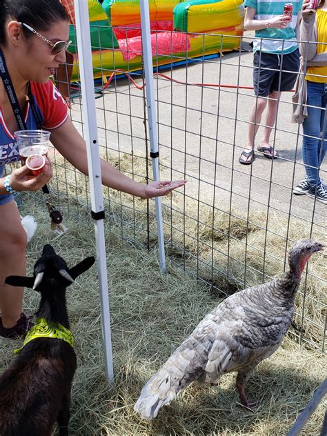 Normally we bring our extended family of lovable animals to events like birthday parties, educational events and fairs. Mobile Petting Zoo Party - Farm Animal Petting Zoo -Dallas ...