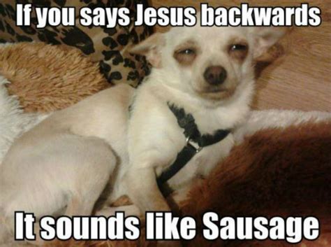 10 Funny Stoner Dog Memes