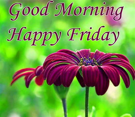 See more ideas about happy good friday, good friday, good friday images. Happy Friday good morning wishes with flowers - PIX Trends