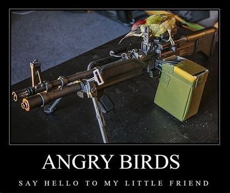 Angry Birds Military Humor