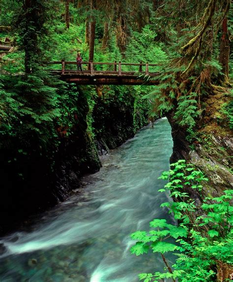 Travel Olympic National Park In Washington Usa The Wow Style