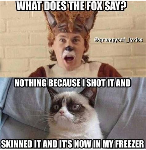 27 Grumpy Cat Funny Memes Quotes And Humor