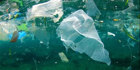 Bacterial Hitchhikers On Plastic Trash In Ocean Farsnews Agency