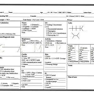 Nurse's report sheet | Etsy in 2021 | Nurse report sheet, Nurse, Nurse