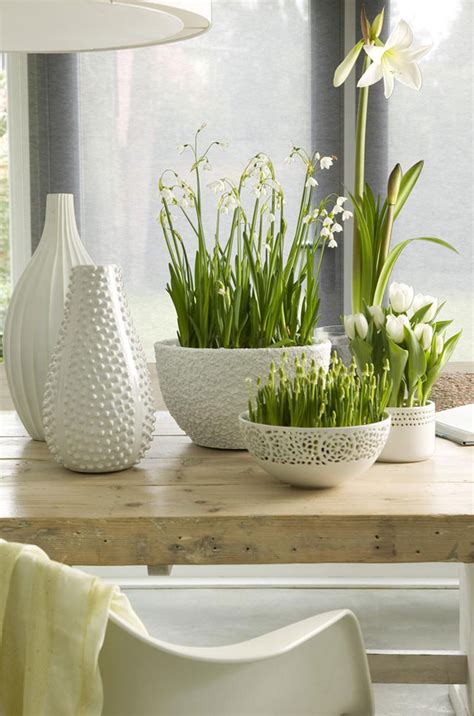 Spring Decorating Ideas Refresh Your Home With Spring Flowering Bulbs