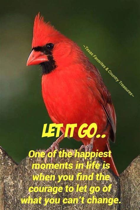 A Red Bird Sitting On Top Of A Tree Branch With A Quote Below It That