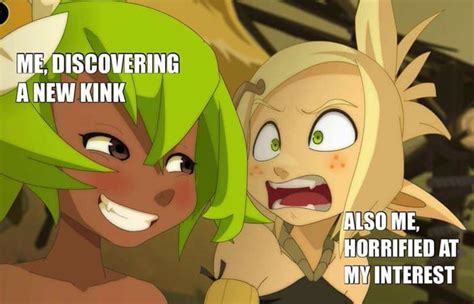 Sauce Is Wakfu Btw Funny Memes Stupid Funny Memes Funny Pictures