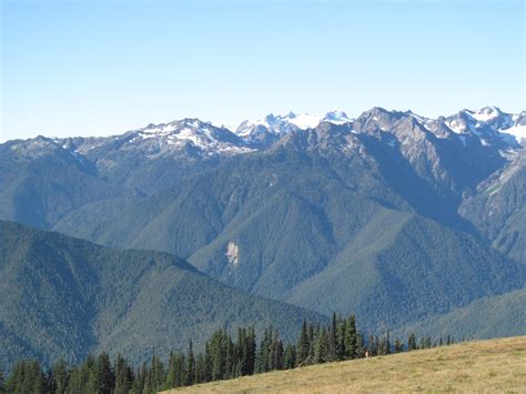 Hurricane Ridge Olympic National Park Washington State Flickr