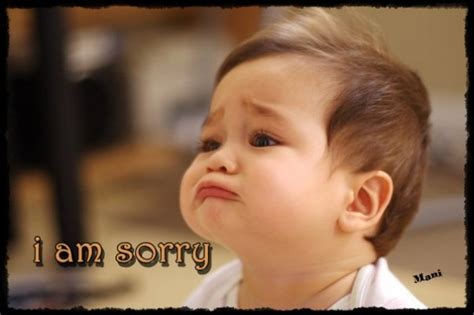 I Am Sorry Scrap For Facebook Scraps 4 U Facebook Scraps Orkut