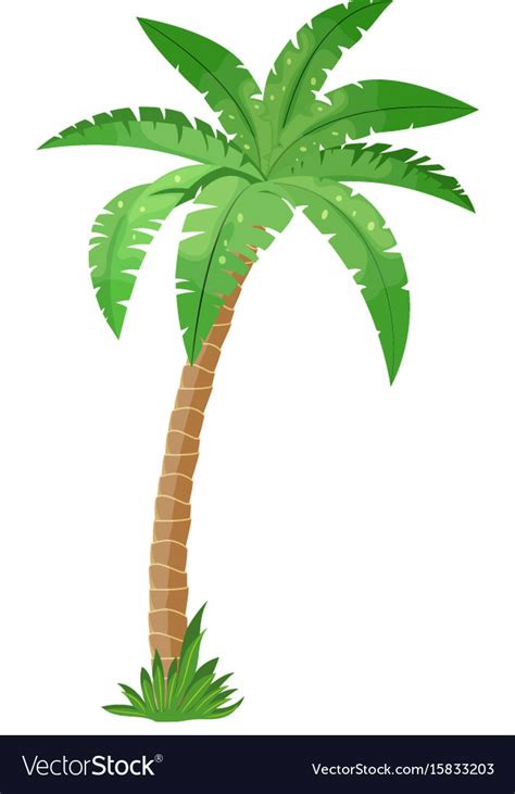 A palm tree Royalty Free Vector Image - VectorStock