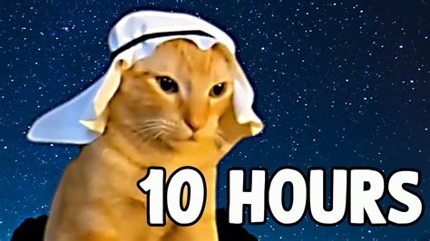 Arab Cat Meme 10 HOURS YouTube