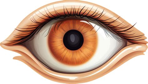 Eye Png With Ai Generated 26773499 Png