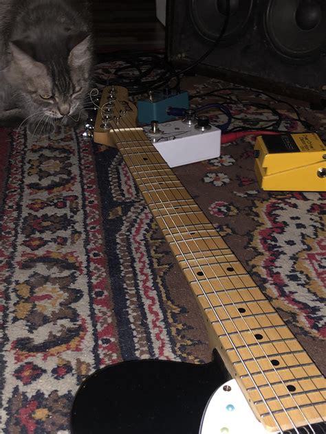 DIY microtonal love!!! : r/KGATLW