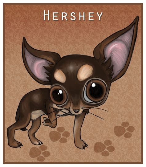 Hershey Chihuahuas Fan Art 9527593 Fanpop