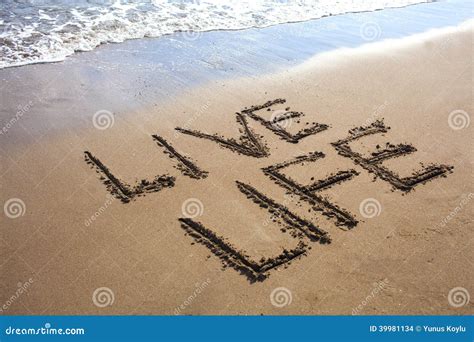 Live Life Stock Photo Image Of Life Warm Energy Clean 39981134
