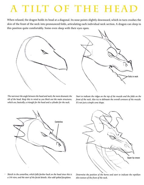 How To Draw A Dragon Step By Step For Beginners Tonisha Quintero