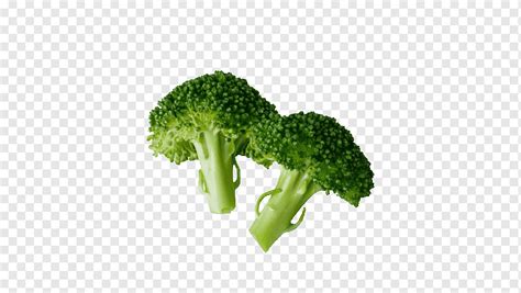 Brócoli Alimentos Orgánicos Coliflor Repollo Vegetal Material De