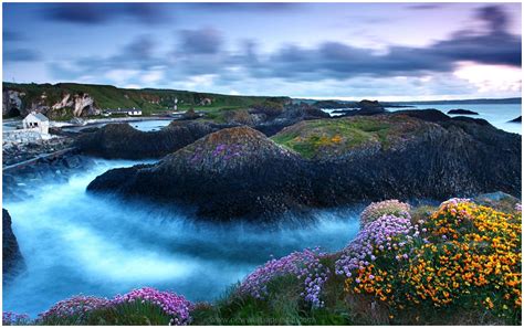 Beautiful scenery wallpapers hd pictures | one hd wallpaper. MOUNTAIN FLOWERS LAKE SCENERY HD WALLPAPER | 9HD Wallpapers