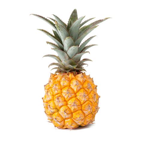 Buy Fresh Pineapple Baby Online In Abu Dhabi Uae