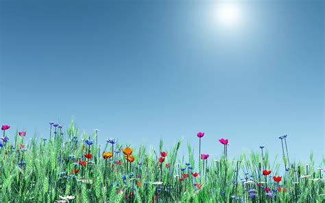 Spring Flowers Wallpapers Widescreen Free Download