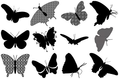 Butterfly Silhouettes Ai Eps Png By Me And Ameliè Thehungryjpeg