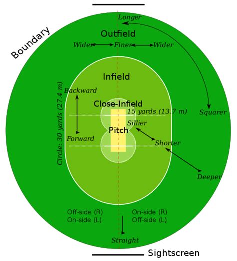 How To Play Cricket A Guide For Beginners Howtheyplay