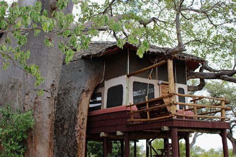 Elewana Tarangire Treetops Safari Lodge Tarangire Tansania Bilder