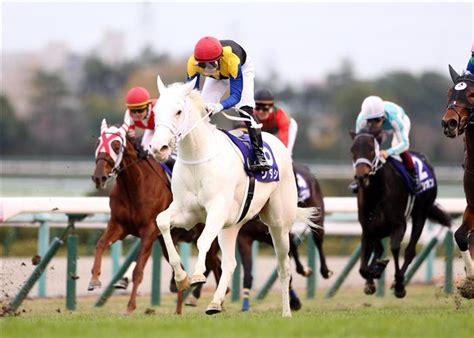 ソダシ(sod ashi)とは、2018年生まれの jraの日本の現役競走馬である。 馬名の意味はjraの競走馬 情報によると、サンスクリット語の純粋、輝きと記載されている。. 史上初、白毛馬がG1制覇 ソダシ、2歳女王に - フォトジャーナル ...