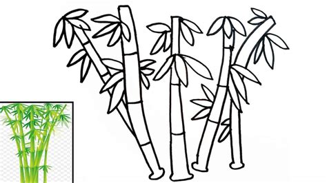 Cara Menggambar Pohon Bambu