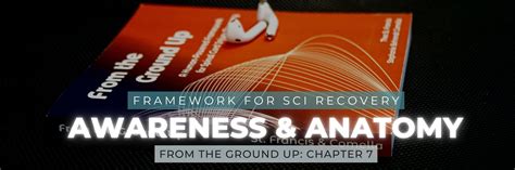 Sci Recovery Process Awareness Through Anatomy Blog And Podcast