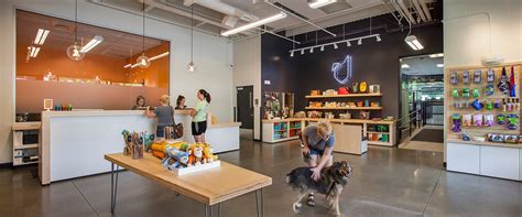 Pets Hotel - The Y Guide