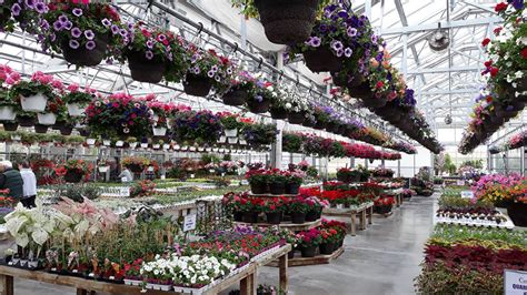The Top Rated Garden Centers And Nurseries In The Omaha Area