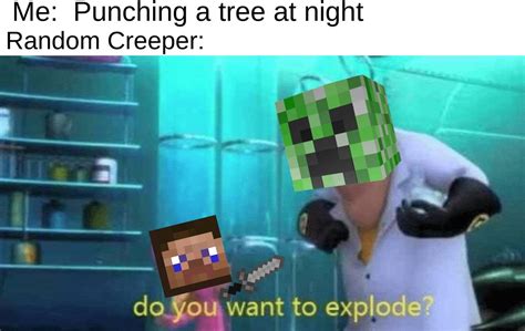 The Best Minecraft Memes Memedroid