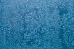 Hoarfrost Free Stock Photos Rgbstock Free Stock Images