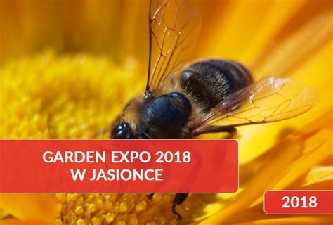 Garden Expo 2018 W Jasionce