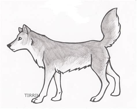 You do not need a black paint. Gray Wolf by Tirrih on DeviantArt