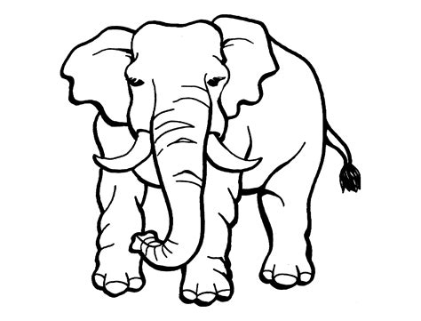 Image d'éléphant à imprimer et colorier  Coloriage d'éléphants