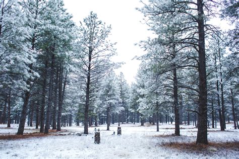 Walkup skydome and riordon mansion are also within 3 mi (5 km). Meteor Crater.snow | Arizona Mountain Inn and Cabins ...